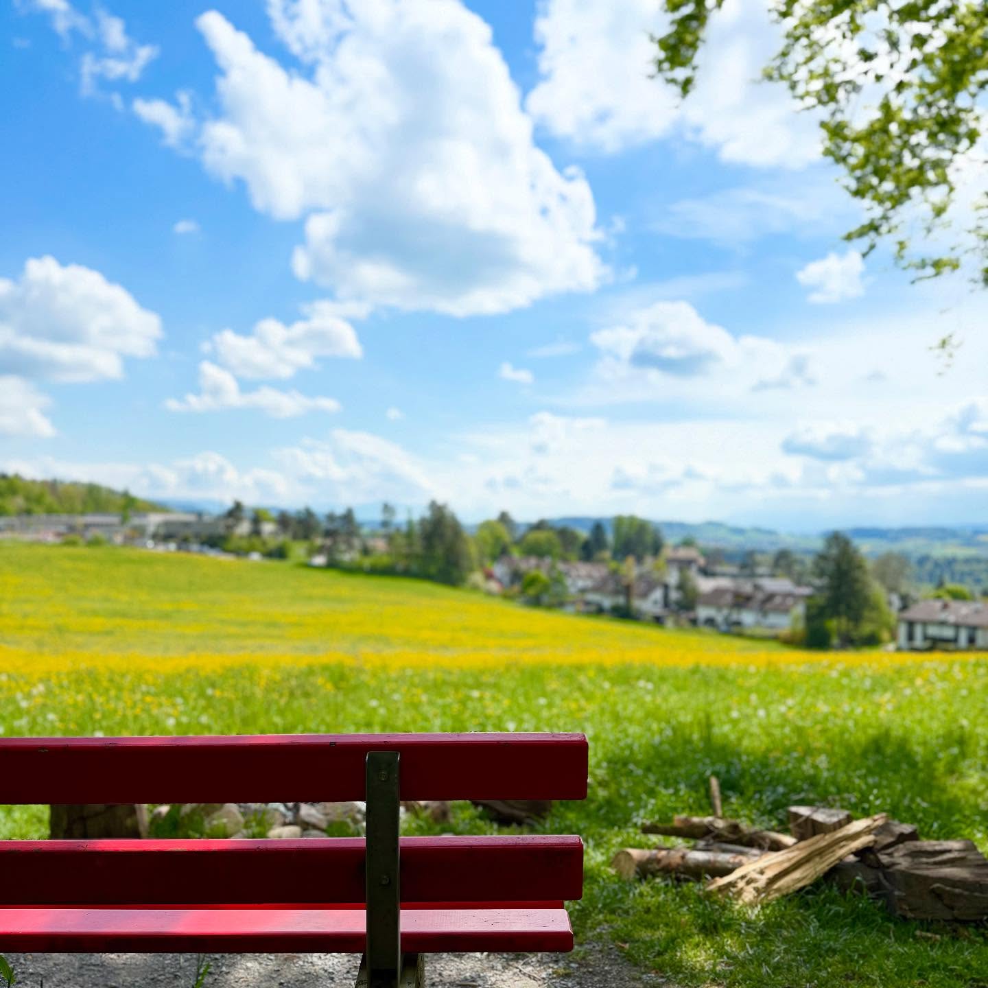 Spring is here—and calls at the top of its lungs to go out abd enjoy it in the nature!