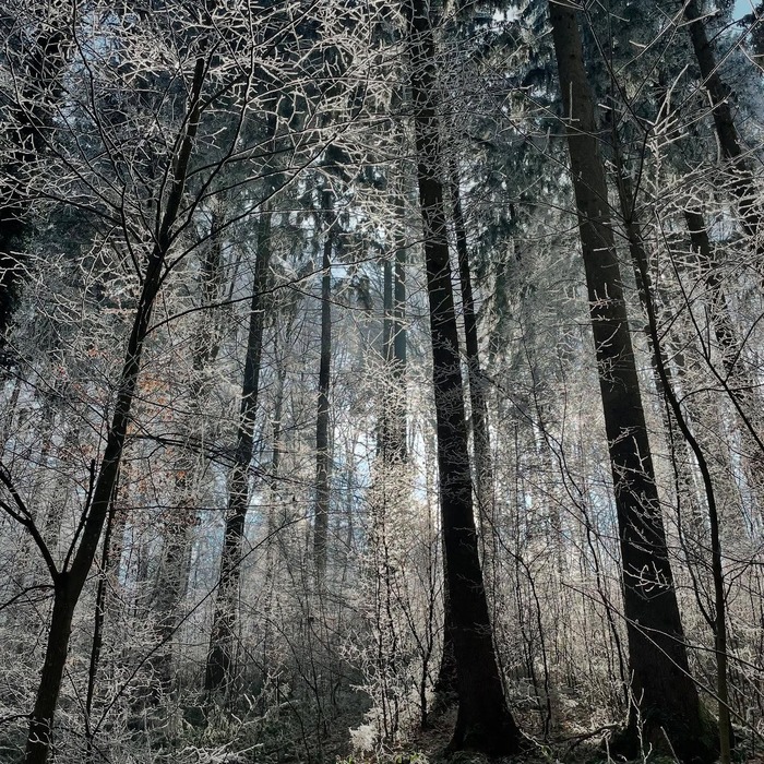 Happy new year! Go out and loose yourself in nature…